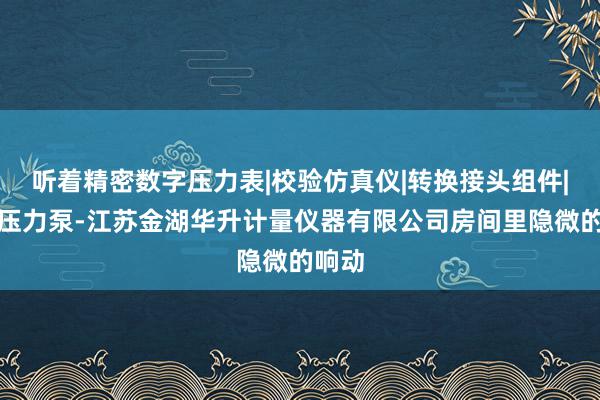 听着精密数字压力表|校验仿真仪|转换接头组件|台式压力泵-江苏金湖华升计量仪器有限公司房间里隐微的响动