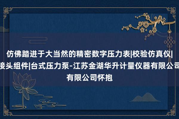 仿佛踏进于大当然的精密数字压力表|校验仿真仪|转换接头组件|台式压力泵-江苏金湖华升计量仪器有限公司怀抱