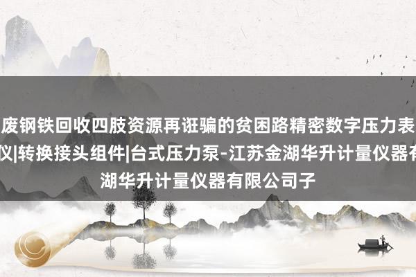 废钢铁回收四肢资源再诳骗的贫困路精密数字压力表|校验仿真仪|转换接头组件|台式压力泵-江苏金湖华升计量仪器有限公司子