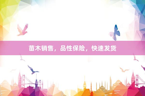 苗木销售，品性保险，快速发货